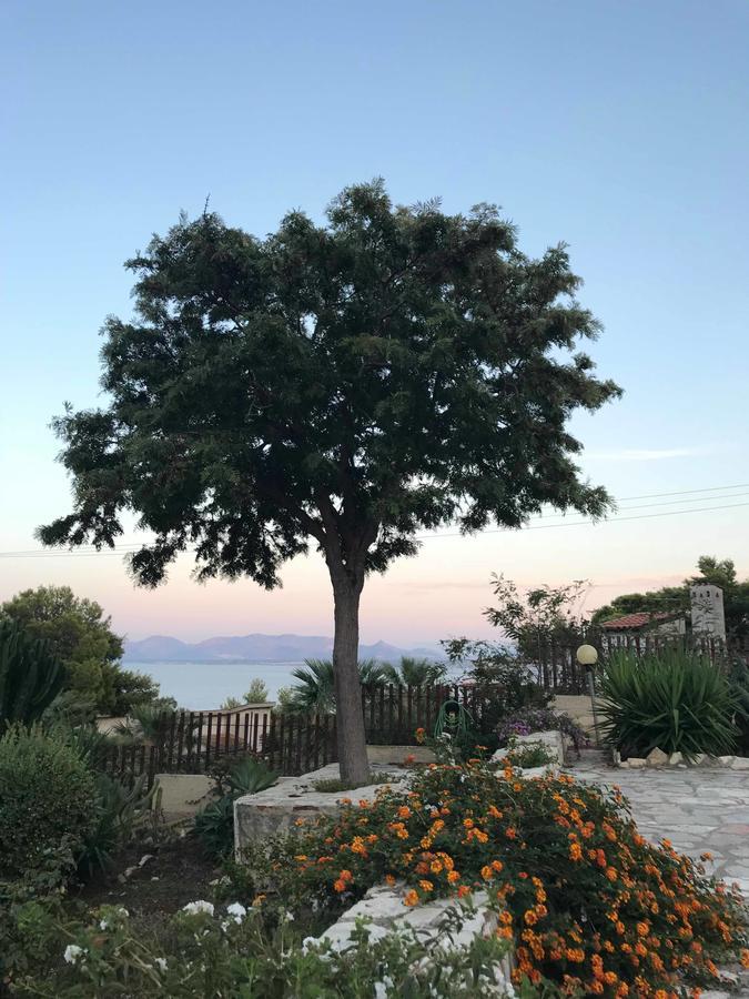 Villa Michela Scopello  Esterno foto